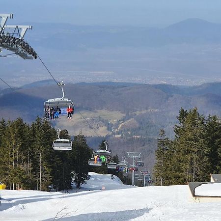 Apartament 2706 Alpin Resort, Etaj 7, ポイアナ・ブラショフ エクステリア 写真