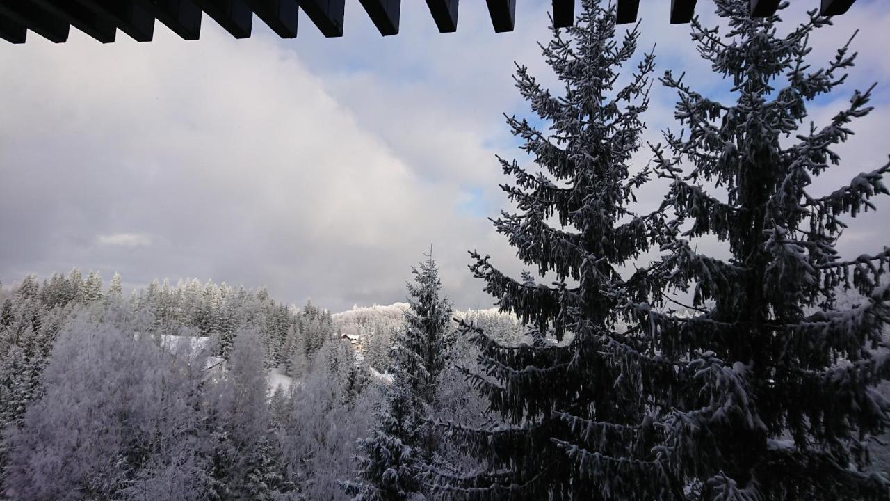 Apartament 2706 Alpin Resort, Etaj 7, ポイアナ・ブラショフ エクステリア 写真