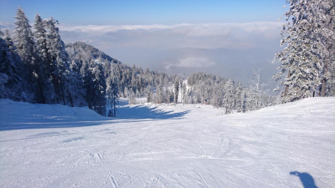 Apartament 2706 Alpin Resort, Etaj 7, ポイアナ・ブラショフ エクステリア 写真
