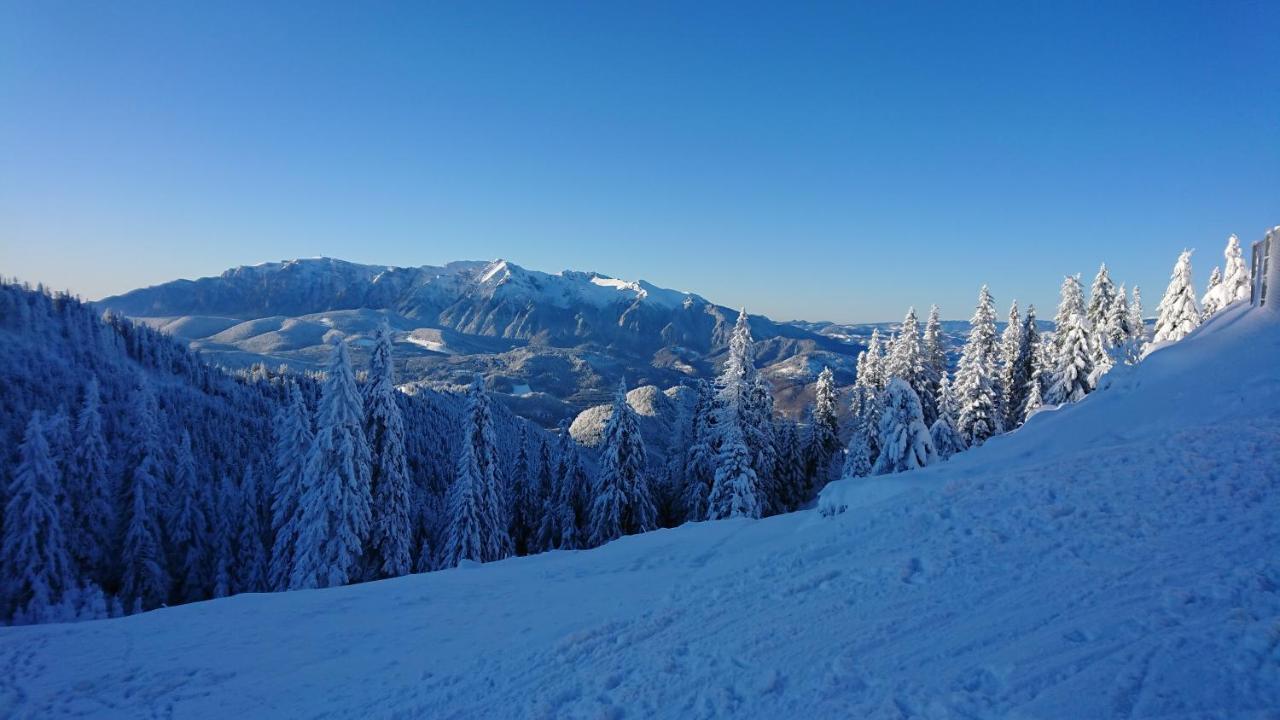 Apartament 2706 Alpin Resort, Etaj 7, ポイアナ・ブラショフ エクステリア 写真