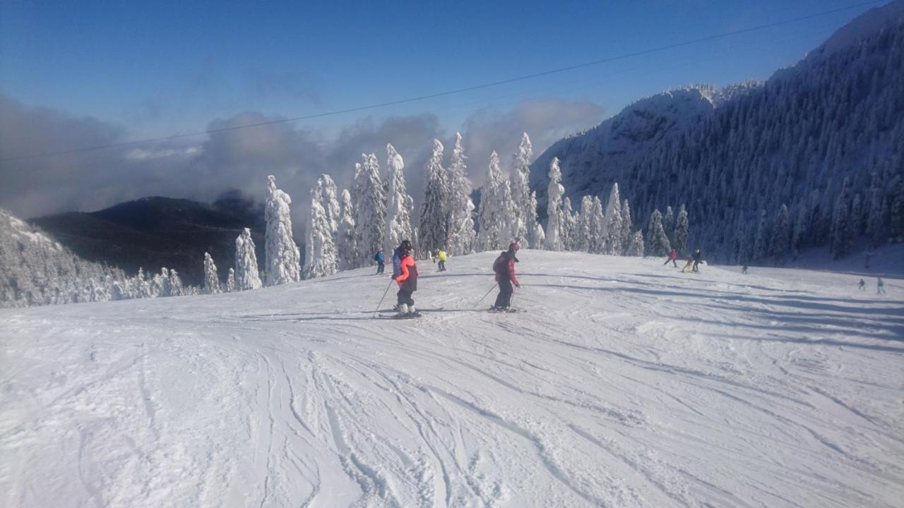 Apartament 2706 Alpin Resort, Etaj 7, ポイアナ・ブラショフ エクステリア 写真