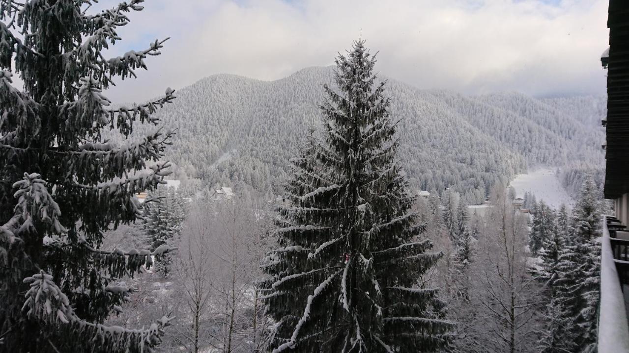 Apartament 2706 Alpin Resort, Etaj 7, ポイアナ・ブラショフ エクステリア 写真