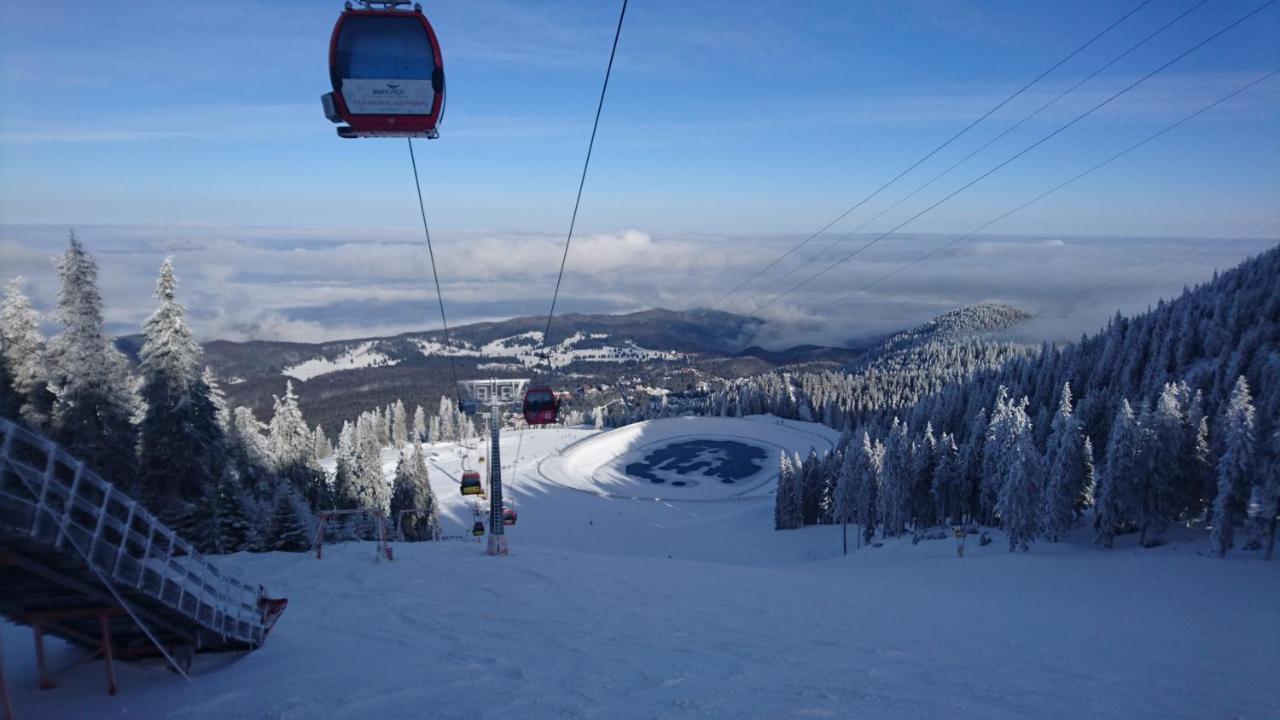 Apartament 2706 Alpin Resort, Etaj 7, ポイアナ・ブラショフ エクステリア 写真