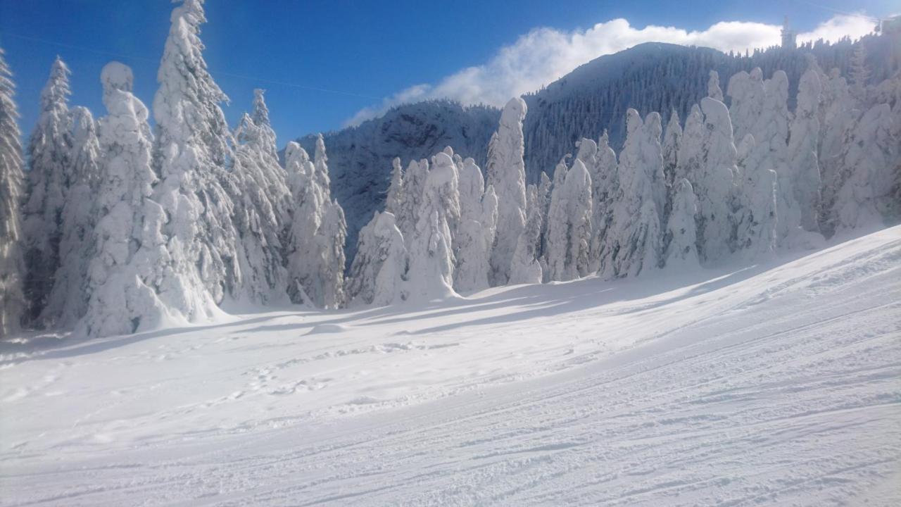 Apartament 2706 Alpin Resort, Etaj 7, ポイアナ・ブラショフ エクステリア 写真