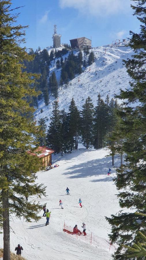 Apartament 2706 Alpin Resort, Etaj 7, ポイアナ・ブラショフ エクステリア 写真